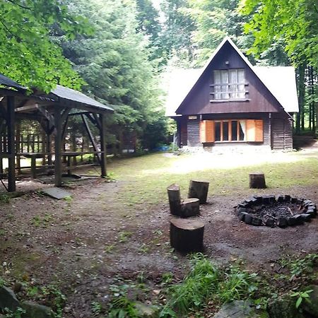 Slovak Cottage Near Bratislava In The Heart Of The Carpathians Modra Exteriör bild