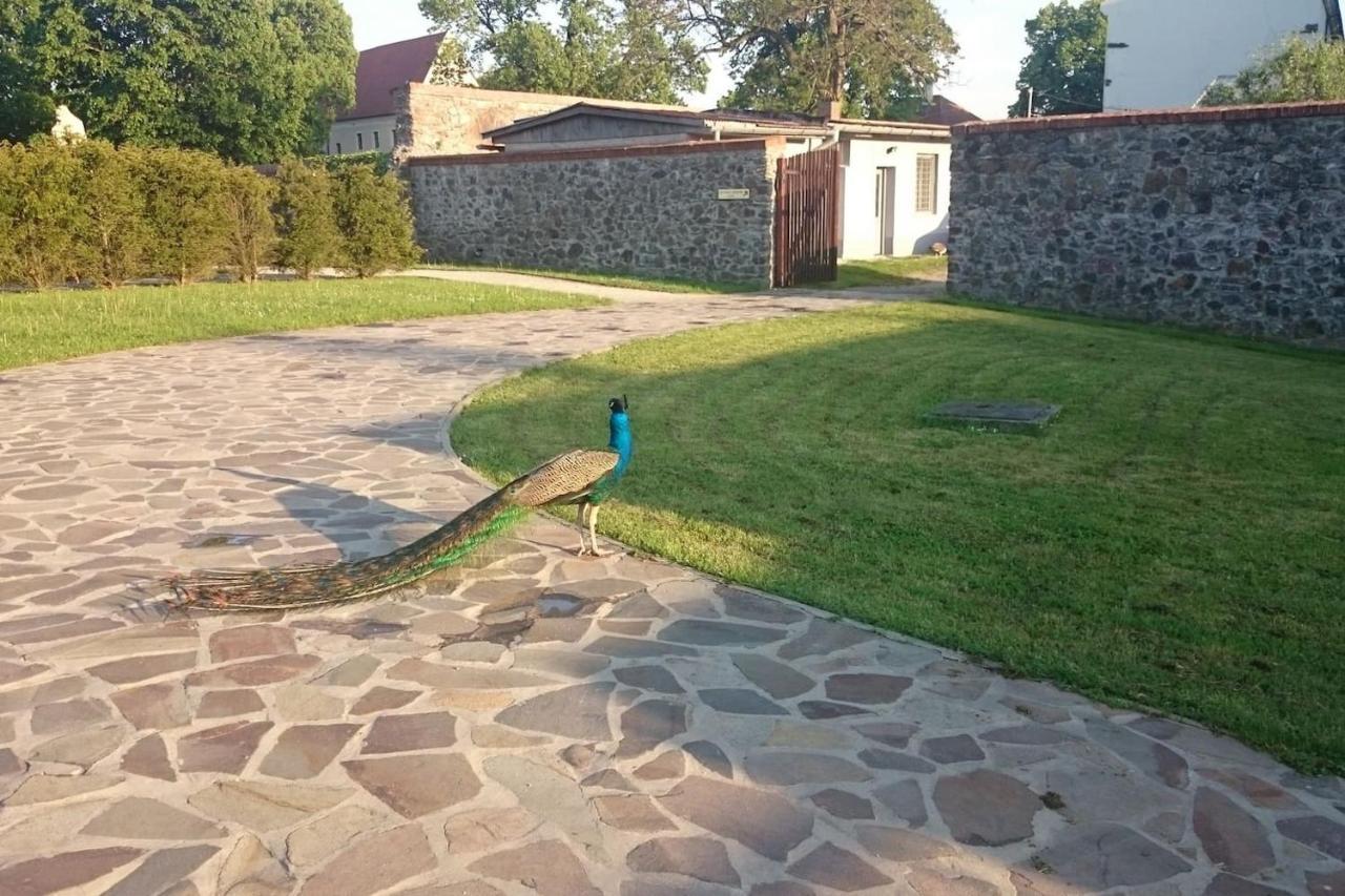Slovak Cottage Near Bratislava In The Heart Of The Carpathians Modra Exteriör bild