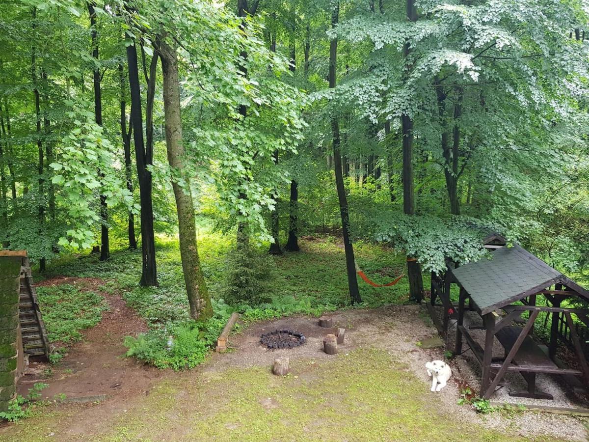Slovak Cottage Near Bratislava In The Heart Of The Carpathians Modra Exteriör bild