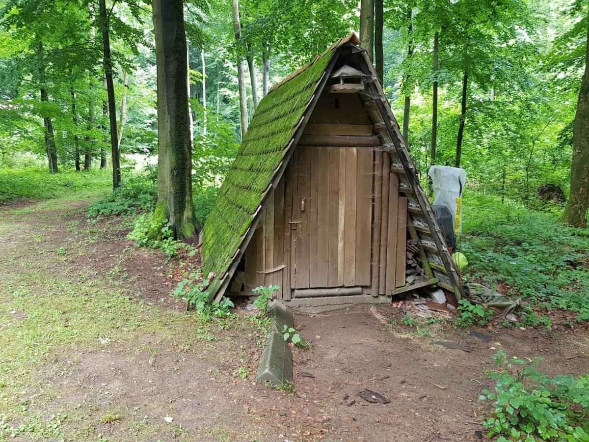 Slovak Cottage Near Bratislava In The Heart Of The Carpathians Modra Exteriör bild