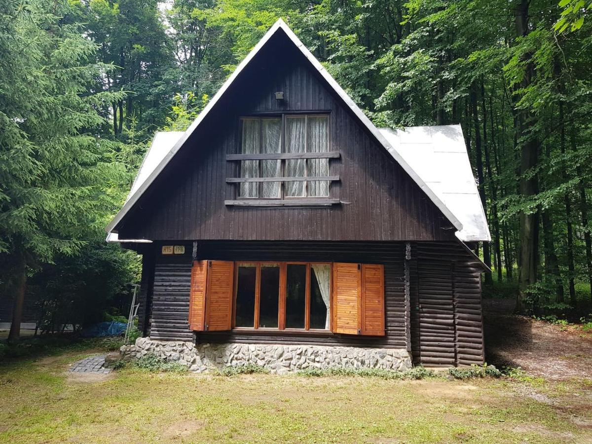 Slovak Cottage Near Bratislava In The Heart Of The Carpathians Modra Exteriör bild