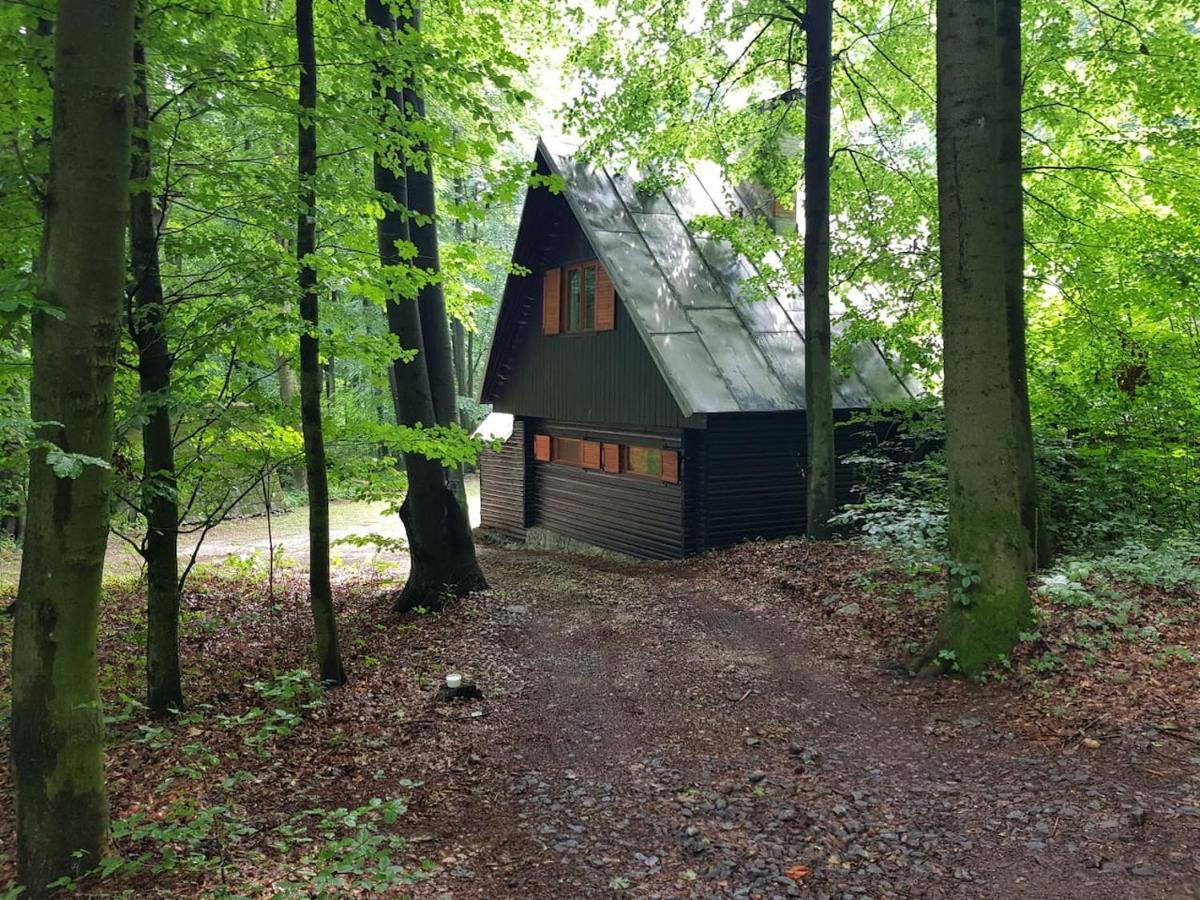 Slovak Cottage Near Bratislava In The Heart Of The Carpathians Modra Exteriör bild