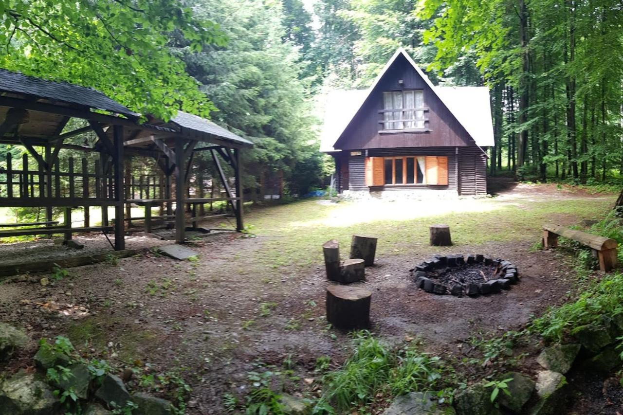Slovak Cottage Near Bratislava In The Heart Of The Carpathians Modra Exteriör bild