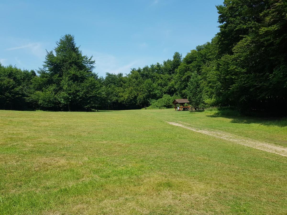 Slovak Cottage Near Bratislava In The Heart Of The Carpathians Modra Exteriör bild